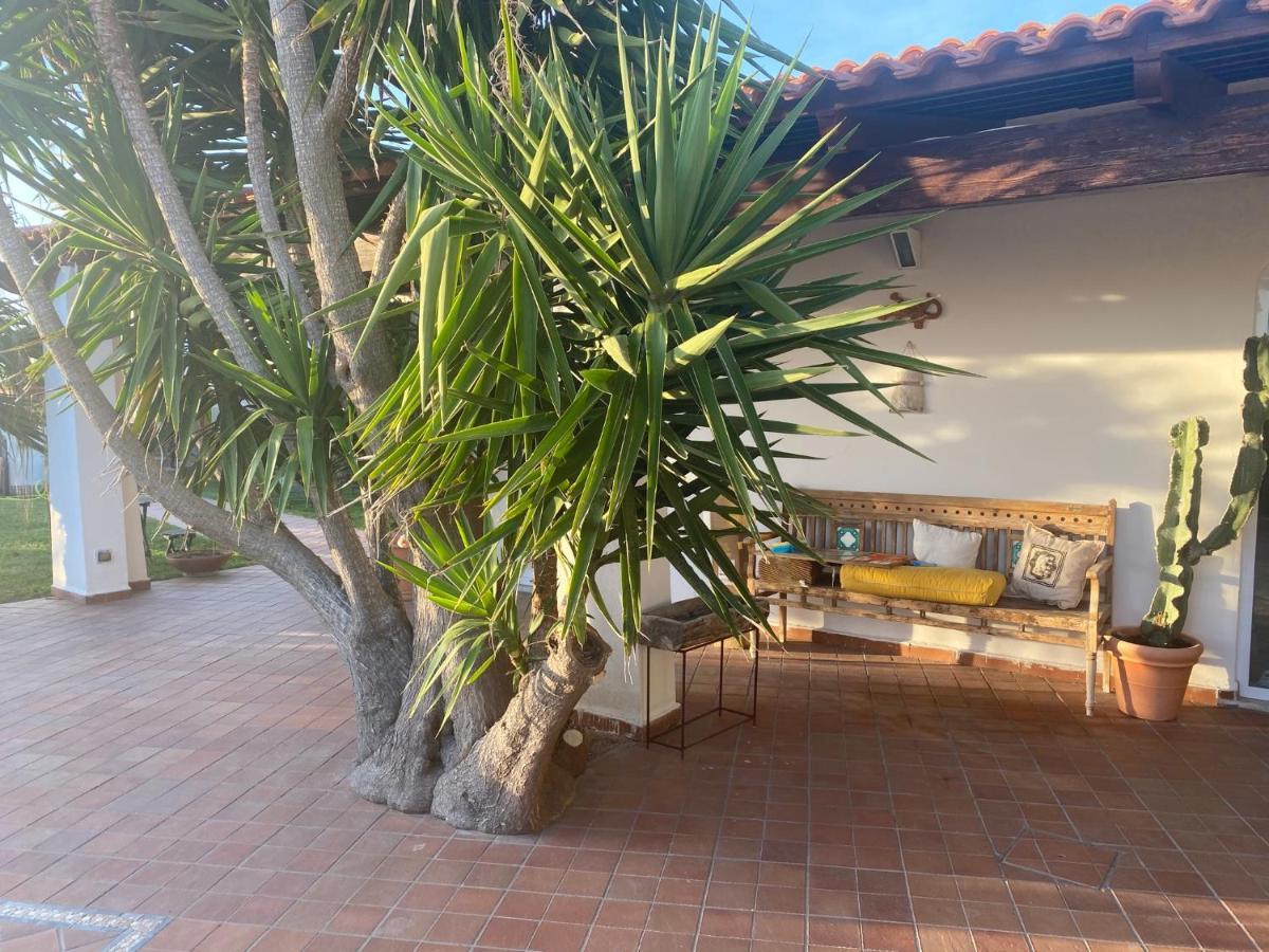 Villa Dimorra Sun And Relax Forio di Ischia Exterior foto